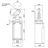 CLS-111  Finecorsa in plastica pistoncino in acciaio inox con rotella in acciaio inox  1NO 1NC  10A 250V IP65  pressacavo M20  N