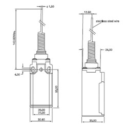 CLS-161   Finecorsa  in plastica  molla in acciaio inox  NO  1NC  10A 250V  IP65  M20