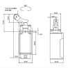 CLS-127   Finecorsa  in plastica  leva acciaio inox con rotella in acciaio inox  NO  NC  10A 250V  IP65  M20