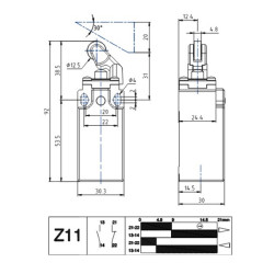 AP1T31Z11  Finecorsa leva con rotella in plastica su pistoncino in acciaio corpo tecnopolimero  Contatti a scatto 1NA  1NC  PG13