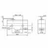 CM-1300  Micro interruttore switch serie CM  in plastica  pistoncino in acciaio inox  1NO NC  15A 250V  IP20