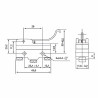 CM-1706  Micro interruttore switch serie CM in plastica  leva in acciaio inox  1NO NC  15A 250V  IP20