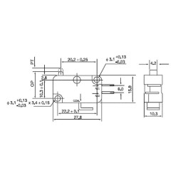 CMV-100-D  Micro interruttore switch   pistoncino in plastica  NO NC 10A 250V
