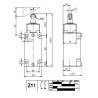BM1E13Z11  Finecorsa alluminio pistoncino  e rotella  inox  Contatti a scatto 1NO  1NC  doppio isolamento e apertura positiva  P