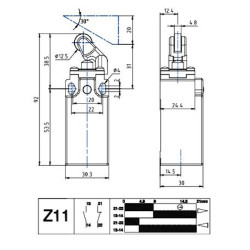 AP5T30Z11  Finecorsa Pistoncino con rotella in nylon corpo 30mm  corpo tecnopolimero IP65  M20X1,5