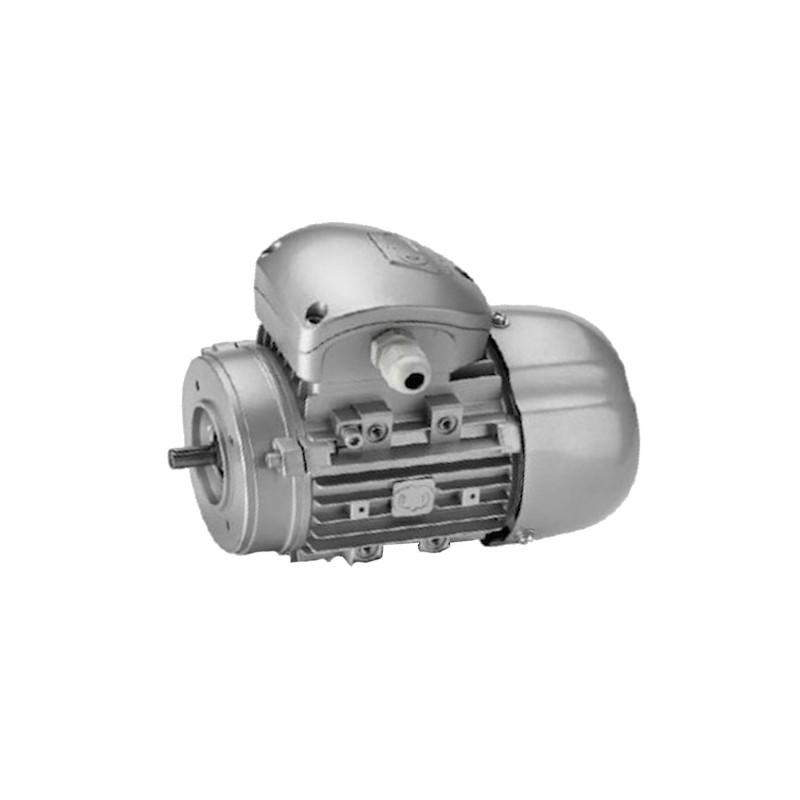 56B-2 B14  Motore asincrono trifase IE2   56B 2 B14  Kw 0,13  Hp 0,18 Rpm 2635