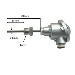  PT100B-6X65    1/2  Con estensione L= 35 MM  -MGO DIN/B.
