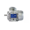 71A-2 B3 Motore asicrono trifase IE2 71A-2 B3 Kw=0,37  Hp=0,5 Rpm=2810