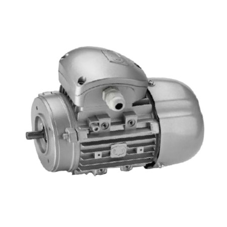 63A-4 B14  Motore asicrono trifase IE2  63A-4 B14   KW 0,13  HP 0,18 RPM 1379