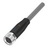 BCC081Y  Connettore dritto M8 3 poli femmina cavo 3mt