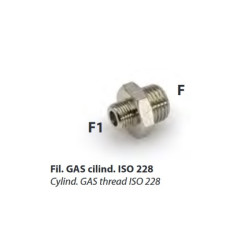 L73.1/4.1/8   Nipplo di riduzione  M M  G 1/4   G 1/8