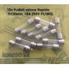 SF522310   Fusibili azione Rapida  5X20mm  10A 250V FS IMQ Confezione da 10 Pcs