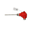 PTS-1B-6X150-B3B   PT100B-6X150 con testa DIN 3 fili  MGO 1/2  F  DIN B