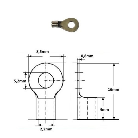 8008-5  Capicorda Inox foro D 5,2  per cavo sez 1  2,5 mmq