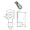 8054-6  Capicorda Inox foro  D 6,5 per cavo sez 10  16 mmq
