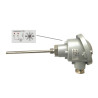 PT1003A611514   PT100  DIN B  3 Fili  CL  A   D 6mm  AISI 316  H 115 mm Con filetto  G 1/4