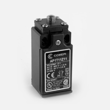 AP1T11Z11  Finecorsa Pistoncino in acciaio  corpo 30mm  corpo tecnopolimero  IP65  Pg 13,5
