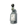 BM5E41Z11  Finecorsa alluminio a leva con rotella nylon 22mm  Contatti a scatto  1NO  1NC  doppio isolamento e apertura positiva