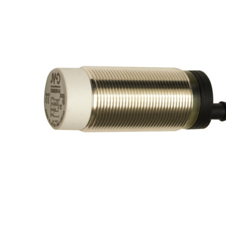 C30M/BP-2A  Sensore capacitivo M30  Corpo Inox  Sn 4  25mm  Non Schermato 10 40Vdc  PNP  NO NC Cavo 2m  IP67