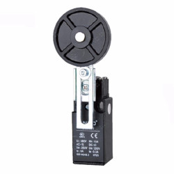 CLS-191   Finecorsa  in plastica  leva regolabile in acciaio inox con rotella in plastica  NO  NC 10A 250V  IP65  M20