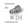 IRF 8M   Innesto rapido mignon  F   G 1/8