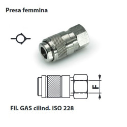 GRF8M  Giunto rapido mignon filettato femmina G 1/8