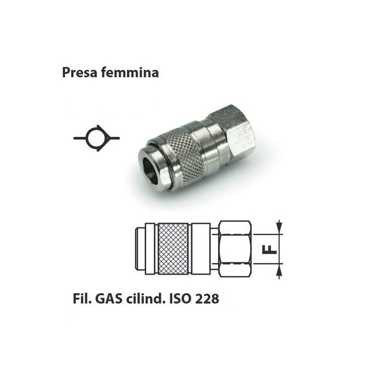 GRF8M  Giunto rapido mignon filettato femmina G 1/8