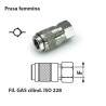 GRF8M  Giunto rapido mignon filettato femmina G 1/8